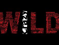 开云体育-当法兰西精密终结牙买加热血，帕尔默在F1揭幕战中的一场华丽接管与时代隐喻