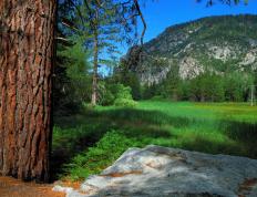 开云体育登录-中场大师发威，南美劲旅奏凯，法比尼奥统治全场，哥伦比亚斩落墨西哥