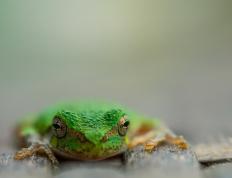 开云体育APP下载-爱尔兰火力全开压制马赛，斯通斯关键先生闪耀全场