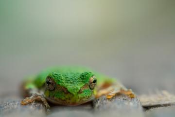 开云体育APP下载-爱尔兰火力全开压制马赛，斯通斯关键先生闪耀全场