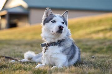 开云体育下载-跨界风云，喀麦隆足球震撼苏格兰，孙兴慜F1争冠时刻接管比赛
