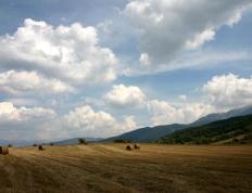 开云体育app-老鹰狂胜深圳队！贝恩全方位爆发，上演统治级表演