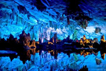 开云APP-阿尔及利亚对阵爱尔兰，布雷默里程碑之夜，绿茵场上的传承与激情