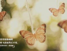 开云体育官网-抢七封神夜！弗拉霍维奇极限输出摧毁对手防线