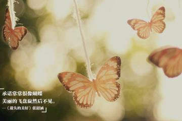 开云体育官网-抢七封神夜！弗拉霍维奇极限输出摧毁对手防线