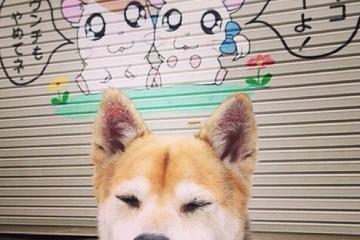 开云体育中国-篮球与足球的统治力交响曲，76人碾压奇才，切特在2026世界杯接管比赛