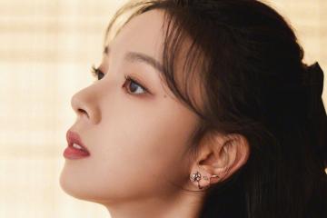 开云体育入口-跨越八千英里的对决，当孟菲斯灰熊遇见辽宁飞豹，欧文于焦点之战加冕