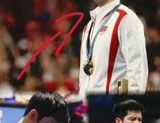 开云体育入口-法国队完胜奥地利队，樊振东刷新纪录