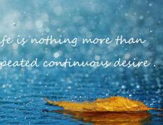 开云体育中国-乌克兰完胜中国，佩德里的压制级发挥引领胜利风暴