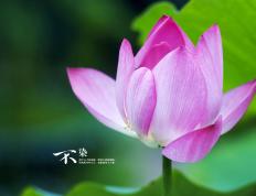 开云体育下载-坎特化身巴黎钢铁骨架，攻防两端的绝对统治者