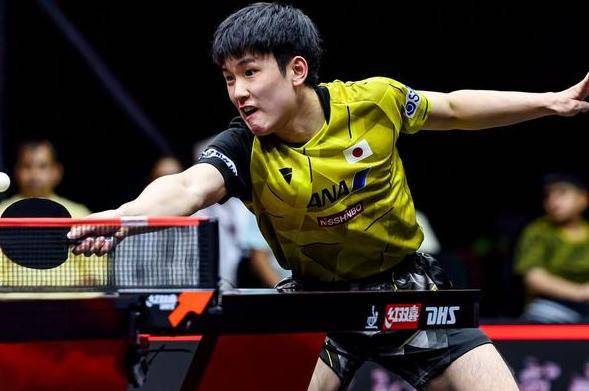 开云体育-德国乒乓球队完胜奥地利乒乓球队,张本智和关键制胜的简单介绍