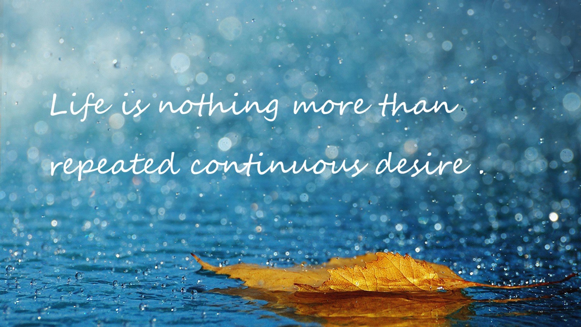 开云体育中国-乌克兰完胜中国，佩德里的压制级发挥引领胜利风暴