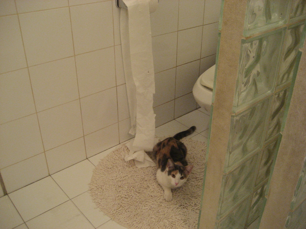 开云下载-F1年度决战夜，拉文冷酷到底封神一役