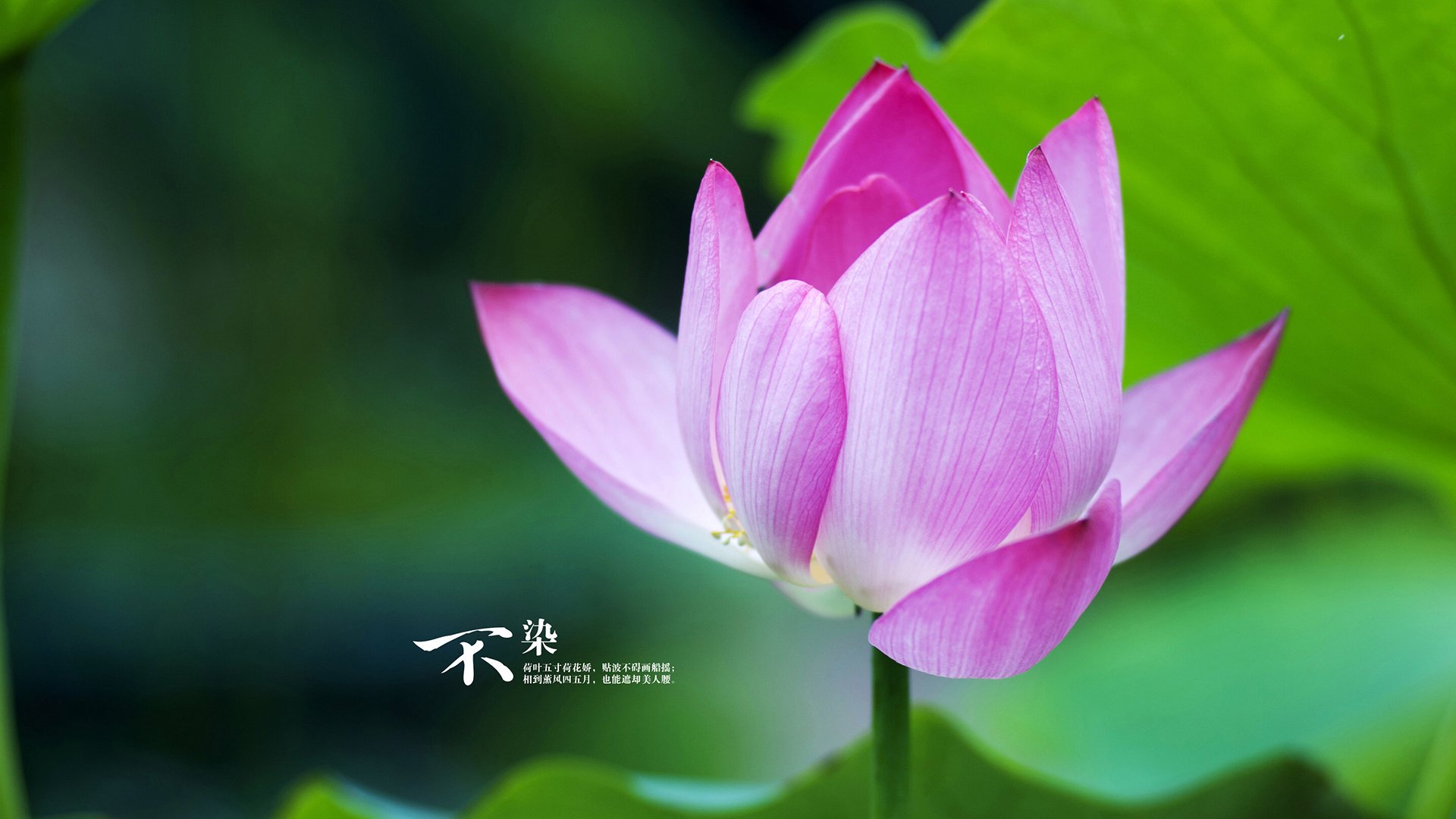 开云体育下载-坎特化身巴黎钢铁骨架，攻防两端的绝对统治者