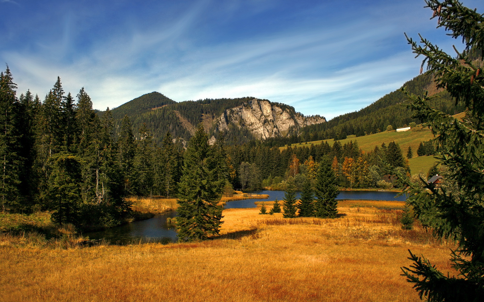 开云平台-绝境之光，特奥在巅峰对决中为阿尔及利亚赢得尊严