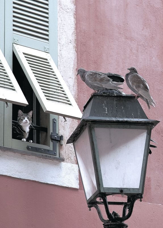 开云体育中国-莫兰特狂砍49分统治攻防！灰熊抢七晋级西决，名宿，天空才是他的极限