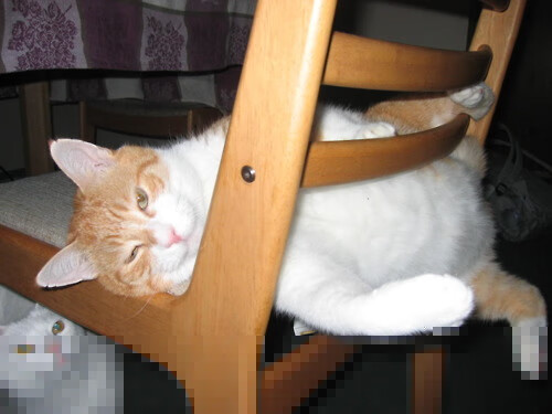 开云体育APP下载-压力下绽放，英格拉姆导演逆转，浙江队以下克上轻取勇士