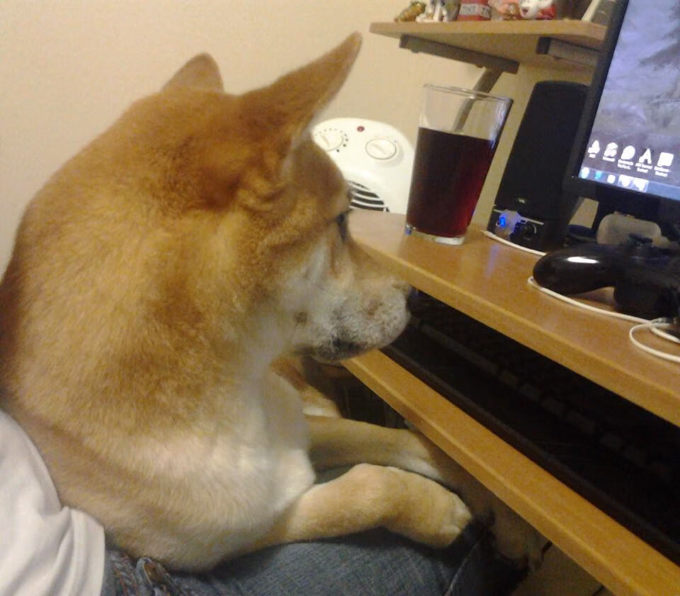 开云体育中国-冰与火的对决,德罗赞中投绝杀点燃京浙大战