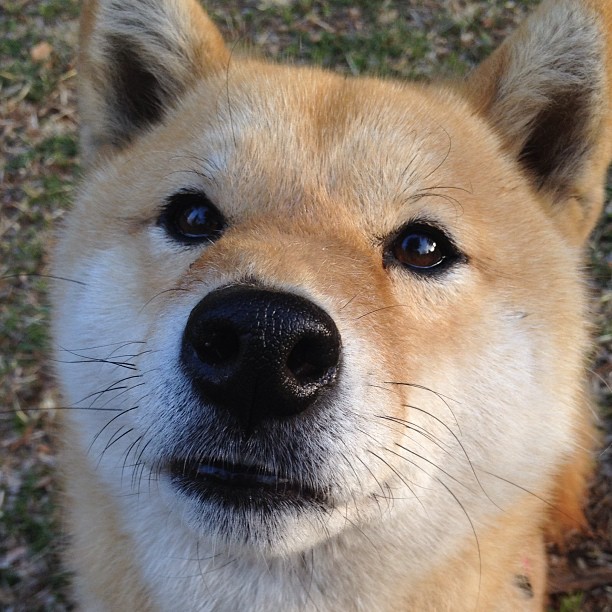 开云体育中国-黄喜灿光芒四射闪耀绿茵，巴拉圭轻取墨西哥展现实力