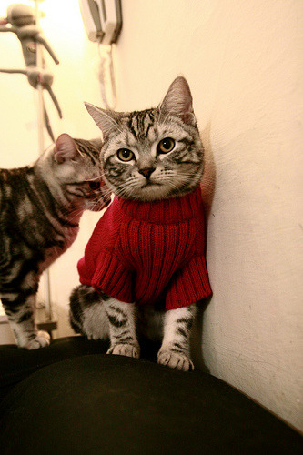 开云体育app-奥斯梅恩主宰战局，那不勒斯新王如何以一人之力击穿阿尔及利亚防线