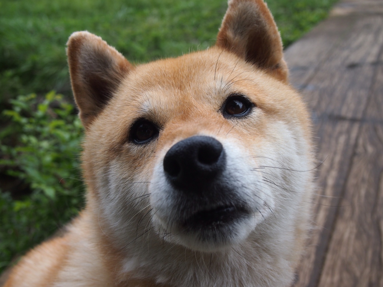 开云体育官方网站-从紫金荣耀到未来传奇，保罗如何在2026世界杯书写新篇章