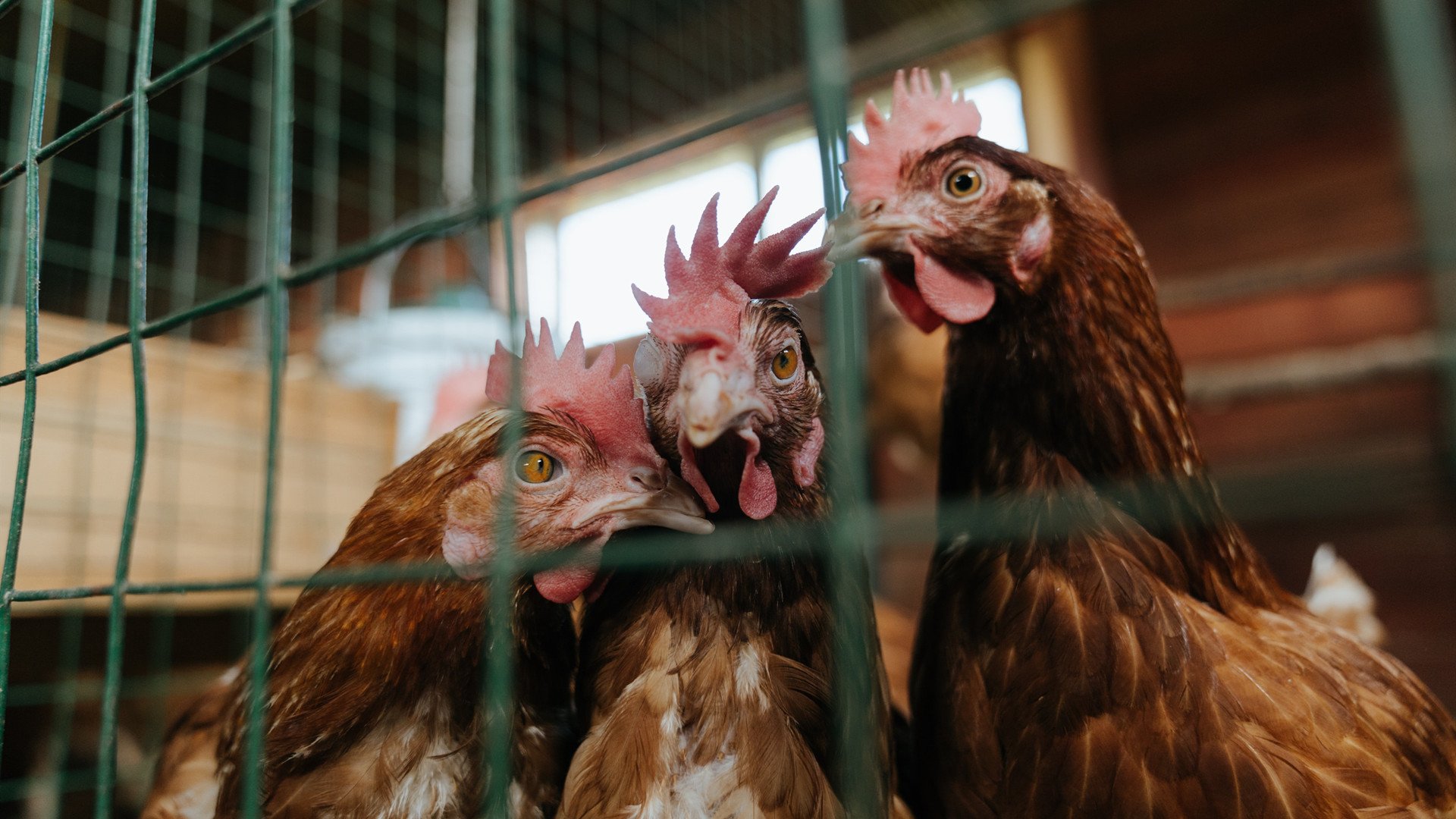 开云体育官方网站-闪电划破慕尼黑夜空，托尼一击定江山，拜仁生死战绝境突围