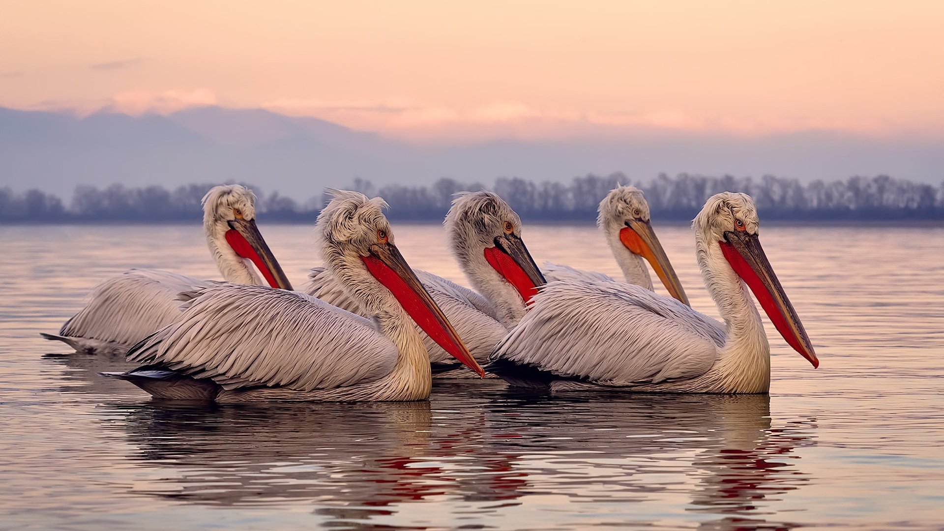 开云体育-个人英雄与体系之争，从京多安的分身看现代足球的生存悖论
